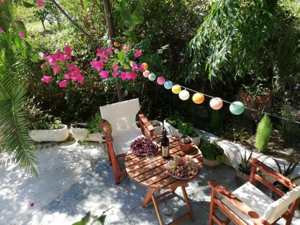 Villa Daizy Boutique Apartments Laganas Extérieur photo