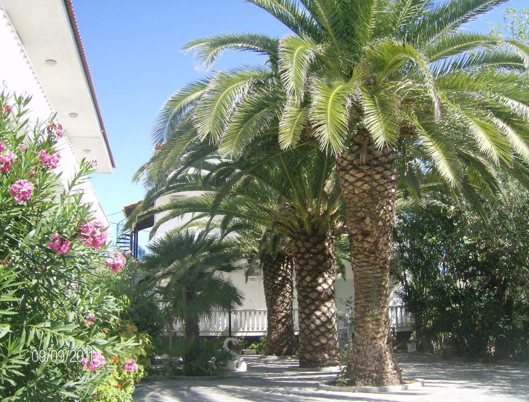 Villa Daizy Boutique Apartments Laganas Extérieur photo
